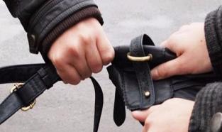 В Магдагачинском районе грабитель забрал у женщины сумку с деньгами 