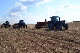 В 2017 году в Приамурье планируют засеять соей 920 тысяч гектаров