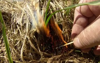 Разводить костры и жечь траву запретили жителям Белогорска