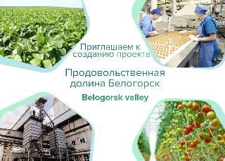 В Белогорске реанимируют проект «Продовольственная долина» 