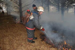 Одиннадцать лесных пожаров полыхают в Приамурье