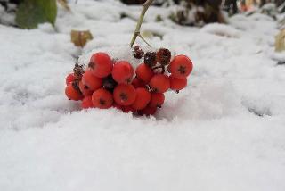 Снег и ветер ожидается в Белогорске 10 ноября 