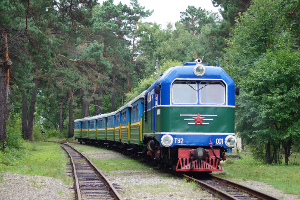 Конкурс профессионального мастерства юных железнодорожников «Весенний экспресс» прошел в Свободном