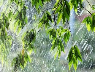 4 июля в Белогорске возможен ливень с грозами