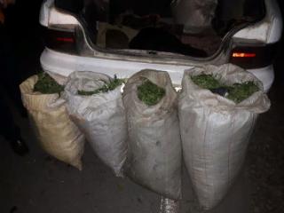 Сотрудники полиции изъяли у амурчанина 12 килограммов наркотиков