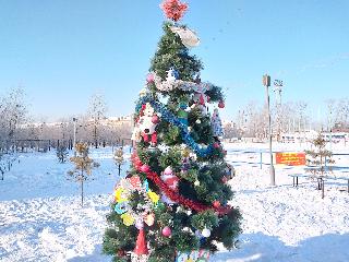 В День рождения Деда Мороза в Белогорске стартовал конкурс творческих работ «Елка ГТО»