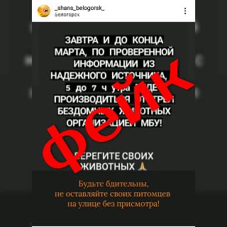 Очередной фейк о Белогорске распространили в соцсетях  
