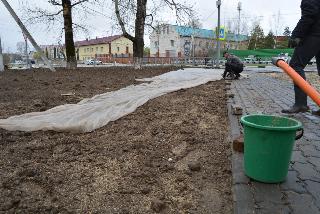 Озеленение газонов началось в Белогорске