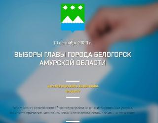 Жители Белогорска могут подать онлайн заявку на голосование на дому 