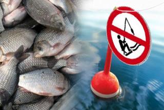 С завтрашнего дня на Амуре запретят ловить рыбу