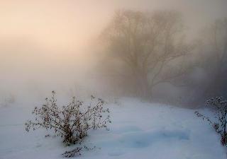 В Белогорске возможен морозный туман