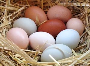 18 марта белогорцы смогут купить куриное яйцо всего за 60 рублей
