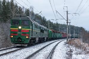 Грузовой поезд насмерть сбил подростка в Хабаровском крае