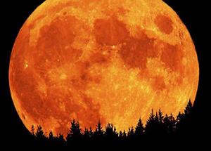 Сегодня амурчане смогут посмотреть на красную Луну