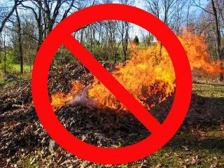 Лесопожарная обстановка в Приамурье: действуют 15 природных пожаров в 10 муниципальных округах