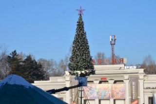 Новогоднюю ель устанавливают на центральной площади Белогорска