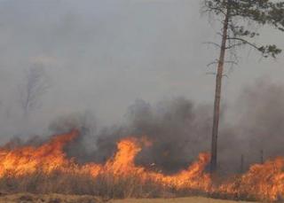За сутки в Приамурье зафиксировали 18 природных пожаров