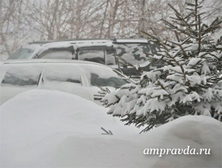 В шаге от рекорда: в Приамурье за ночь выпала месячная норма мартовского снега
