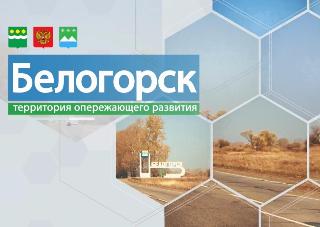 На Наблюдательном совете при губернаторе рассмотрели эффективность работы ТОР «Белогорск»