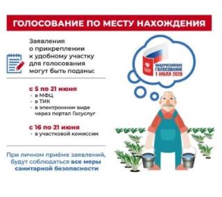 С 16 июня можно подать заявление на голосование по поправкам в Конституцию РФ по месту нахождения