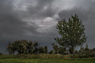 В Белогорске сохранится ненастная погода