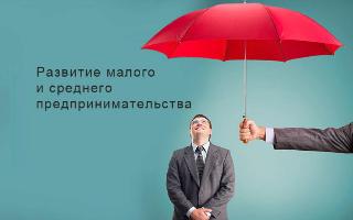 Начинающих предпринимателей Белогорска поддержат грантами