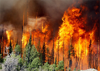 Районы Иркутской области затянуло дымом от лесных пожаров