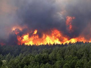 Виновников природных пожаров в Приамурье обложат штрафами и лишат господдержки