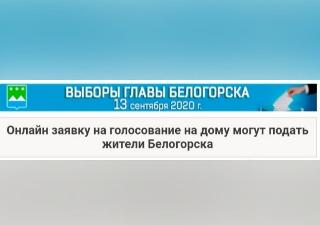 На официальном сайте города создан спецраздел «Выборы главы Белогорска»