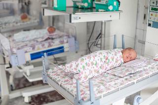 Минтруд назвал регионы с самой высокой ожидаемой рождаемостью