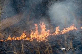 В Амурской области пожарами охвачены 1,6 тысячи гектаров  