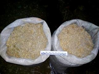 У жителя Приамурья полицейские изъяли более 6,5 килограммов марихуаны
