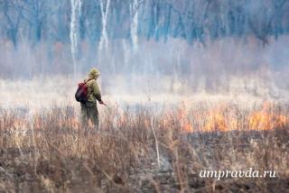 Леса горят в четырех районах Амурской области