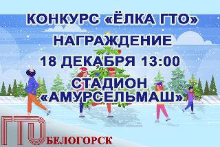 Победителей и участников конкурса «Ёлка ГТО» наградят на «Хрустальном льду» стадиона «Амурсельмаш»