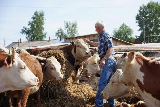 «Агростартап» могут получить белогорские фермеры 