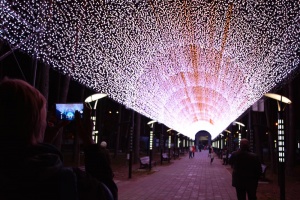 Световая аллея в Белогорске (18 фото)