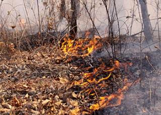 760 человек тушат пожары в Приамурье