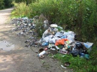 В Белогорске за вынос мусора в неположенном месте штрафуют