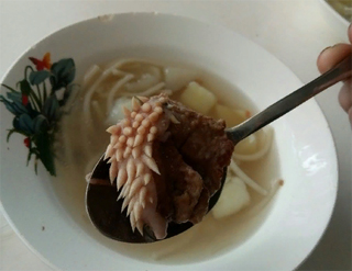 Курганские школьники нашли в супе из столовой мясо со странными отростками