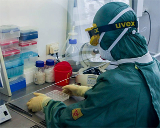 В России представили противомалярийный препарат для лечения коронавируса