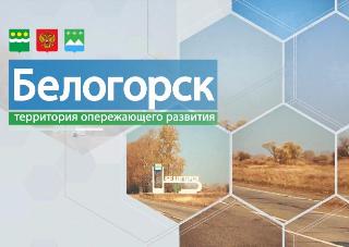 Для ТОР «Белогорск» построили новую подстанцию