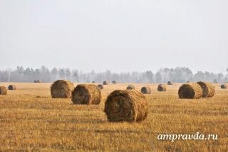 Амурская область будет поставлять сено в Якутию