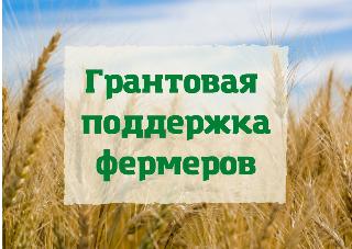 Сельхозпроизводителям Белогорска напомнили о возможности получения господдержки