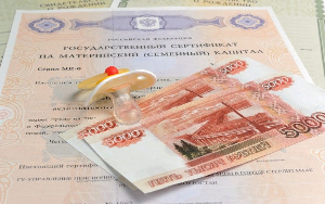 297 амурских семей сегодня получат 70 млн. рублей из средств материнского капитала 