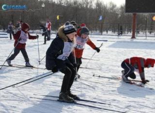Белогорские ориентировщики примут участие в дальневосточных соревнованиях