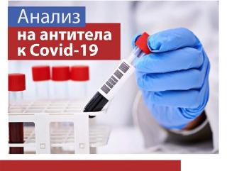 Кровь на исследование антител к COVID-19  сдали более двухсот белогорцев