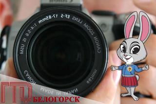 «ГТО в объективе»: в Белогорске подвели итоги фотоконкурса
